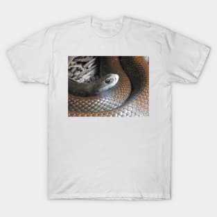 Coastal Taipan T-Shirt